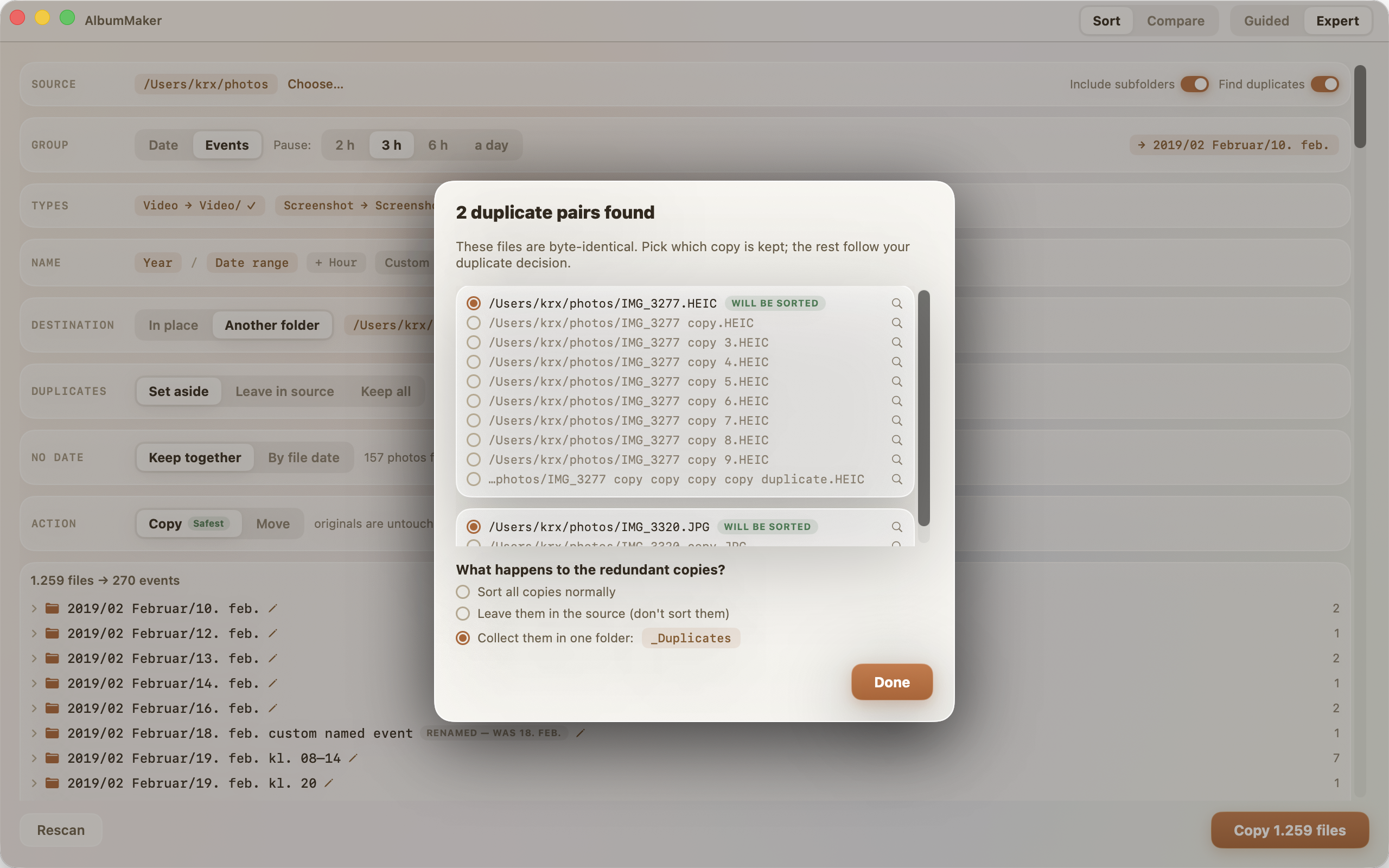The duplicate review modal: two duplicate groups with per-copy radio selection, "will be sorted" badges, and the choice of what happens to the redundant copies